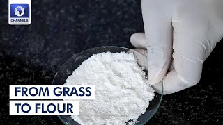 Grass Flour In Kenya, Tackling HIV/AIDS In Nigeria + More | Africa 54