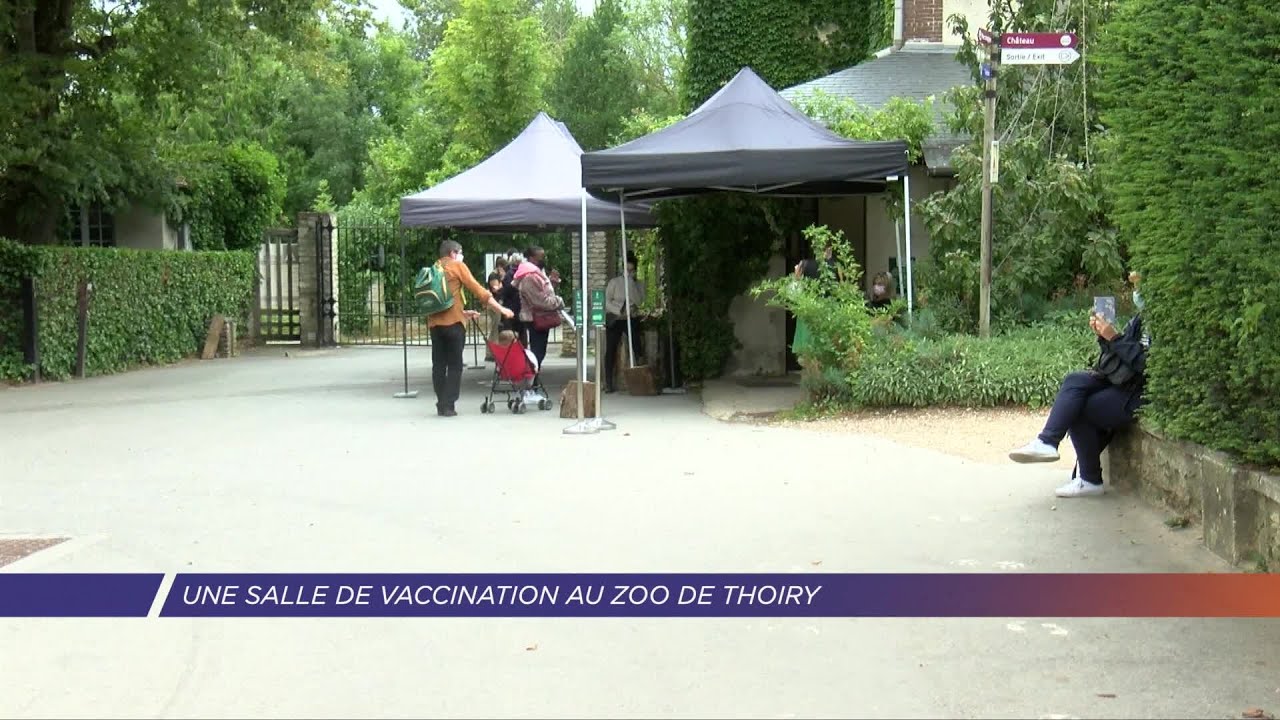 Yvelines | Une salle de vaccination au Zoo de Thoiry
