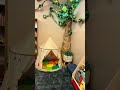 Miniatura video