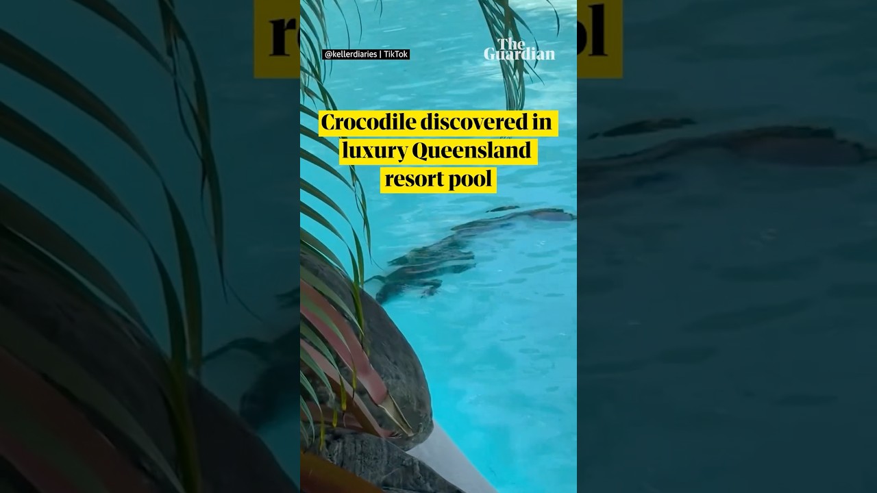 Crocodile discovered in luxury Australian resort pool
