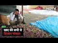 Madhya Pradesh के किसानों पर चौतरफा मार, खरीदा अनाज रखने में आपराधिक लापरवाही