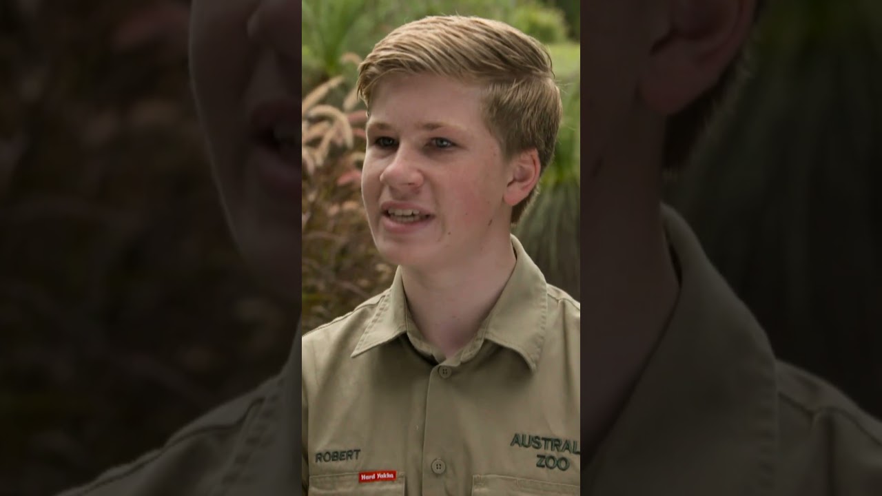 Robert Irwin's Tense Moment with World's Deadliest Snakes | Crikey! It's the Irwins | Animal Planet