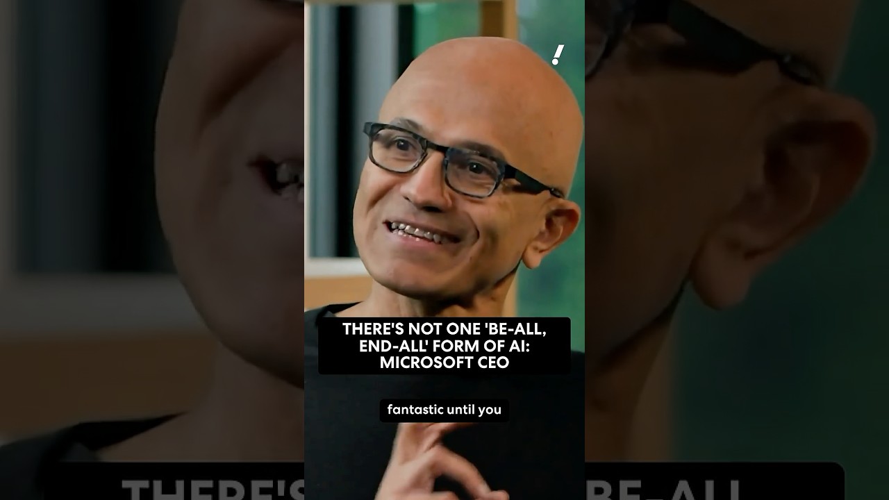 Microsoft CEO: There's no "be-all, end-all" form of AI