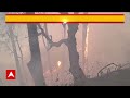 Breaking: उत्तराखंड के अल्मोड़ा में जंगल में लगी आग, आग बुझाने गए 4 वनकर्मी की मौत | ABP News  - 02:13 min - News - Video