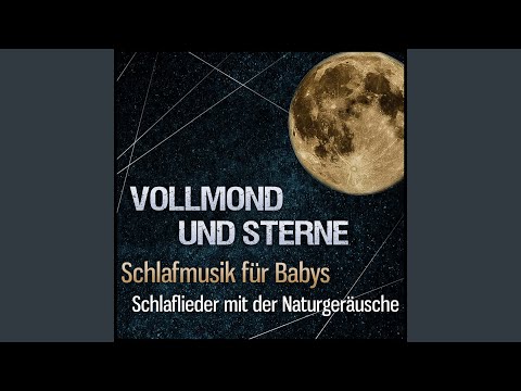 Guten Abend Gute Nacht