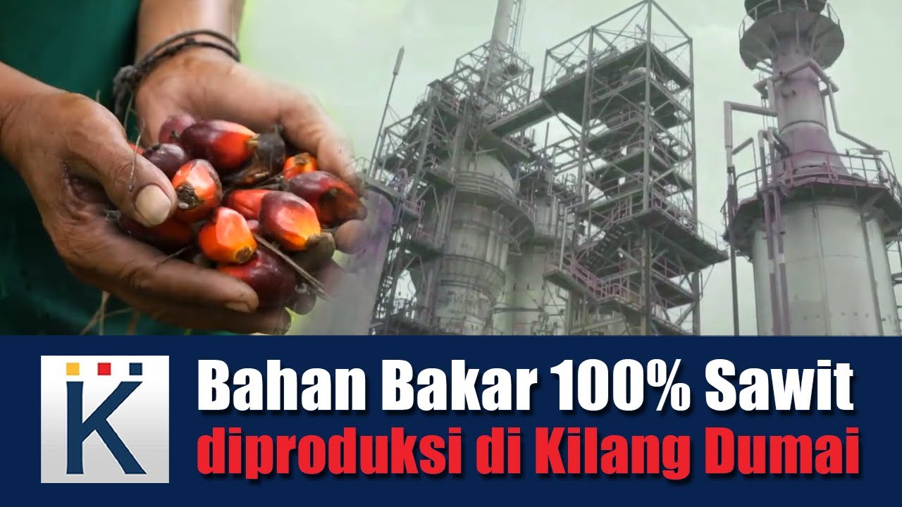 Bahan Bakar 100% Sawit Diproduksi Di Kilang Dumai