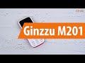 Распаковка Ginzzu M201 / Unboxing Ginzzu M201