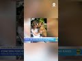 Father discovers 8-year-old daughter may still be alive and held hostage by Hamas  - 00:53 min - News - Video