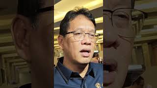 Danantara Mintanya Banyak