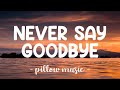 Karaoke song Never Say Goodbye - Jon Bon Jovi, Published: 2022-02-27 14:31:27