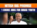Nitish Kumar Promises 1 Crore Jobs For Bihar Youth, Highlights 20 Years Of Development | News9