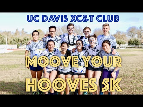 Race Video