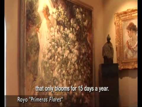 Royo - Azules y Blancos