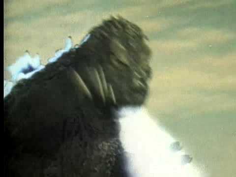 Mothra vs. Godzilla'