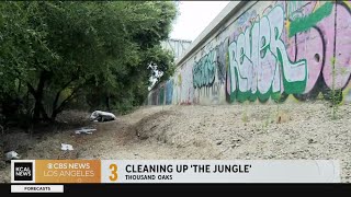 Thousand Oaks cleanup of "The Jungle"