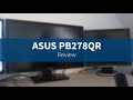 ASUS PB278QR: Bester 27-Zoll-Monitor? – Review, Erfahrungsbericht, Test