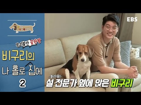 세상에 나쁜 개는 없다 - 분리불안 끝판왕, 비구리의 나 홀로 집에_#002