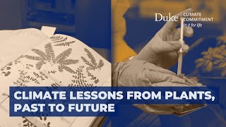 Climate Lessons From Plants, Past To Future video