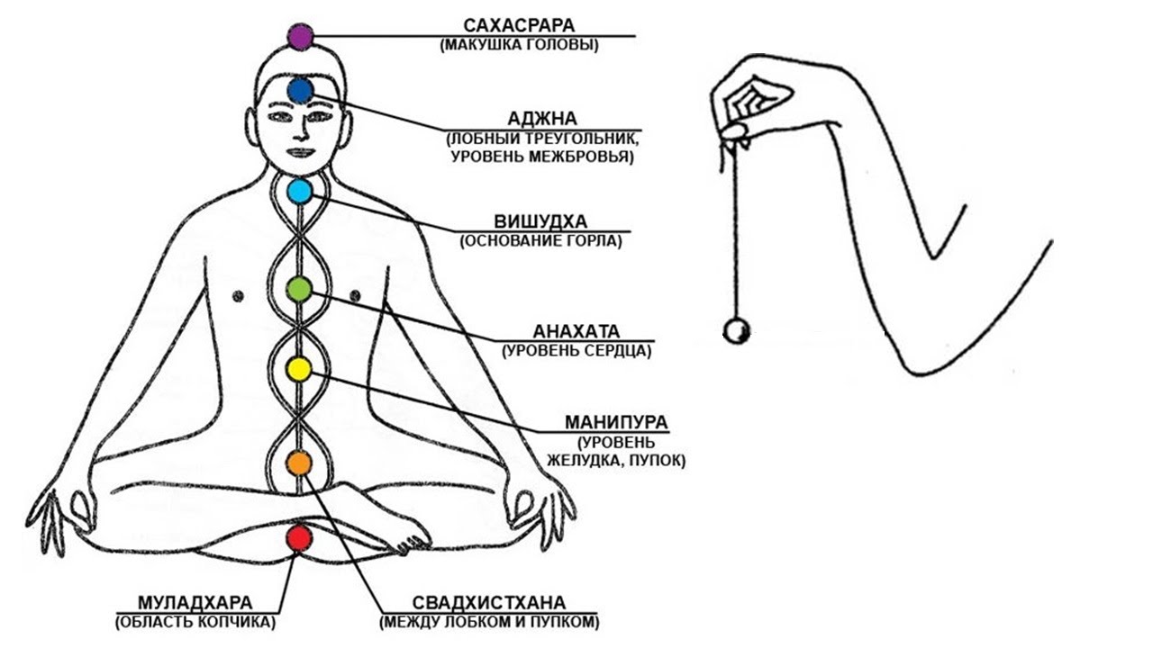 Как восстановить чакры. Маятник Пучко Биолокация чакры. 12 Чакровая система человека схема. Диаграмма чакр для маятника. Схемы биолокации Пучко.