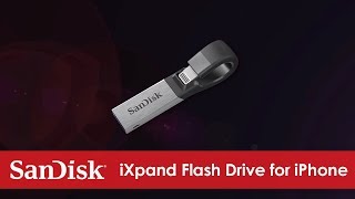 SanDisk 64 GB iXpand USB 3.0/Lightning (SDIX30N-064G-GN6NN)