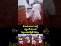 కౌలుకు భూమి ఇస్తే కబ్జా చేయాలని పెద్దాయన పైకే రివర్స్ | Prakasam Viral Video | Prime9 News