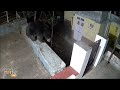 Wildlife Intrusion: Leopard and Bear Enter House in Yellanalli Kaikatti Village, Tamil Nadu | News9