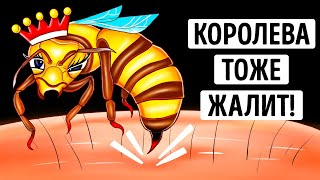 Почему укус королевы пчел может быть более опасным? Будьте бдительны!