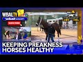 Veterinarian explains what they look for in healthy race horse