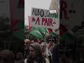 Nationwide protests in Australia against war in Gaza  - 00:42 min - News - Video