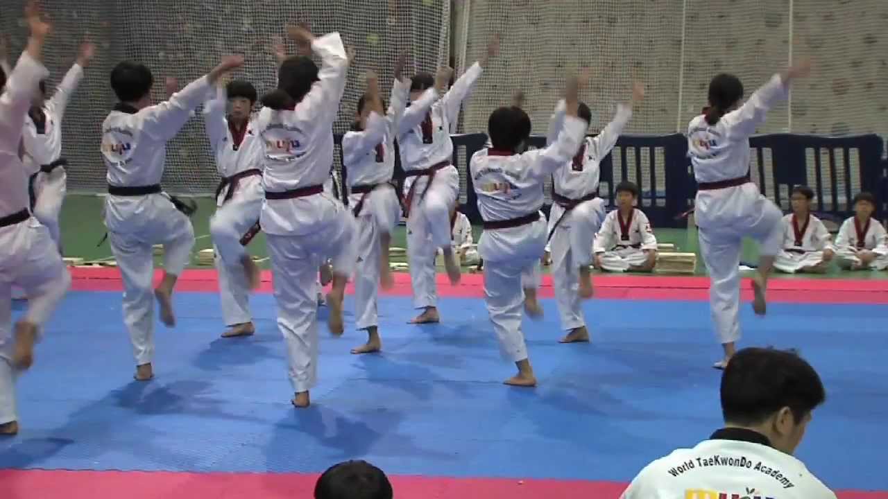 L’équipe junior de Taekwondo de Corée du Sud en démonstration à Montigny
