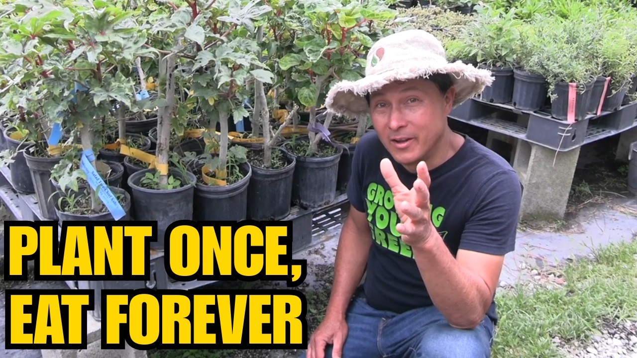 $10 Plant That Feeds Your Family for Years (Plant Once, Eat Forever!)
