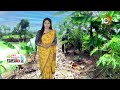 సమీకృత వ్యవసాయం చేస్తున్న యువకుడు | Matti Manishi | Agriculture Farming | 10TV News  - 06:15 min - News - Video