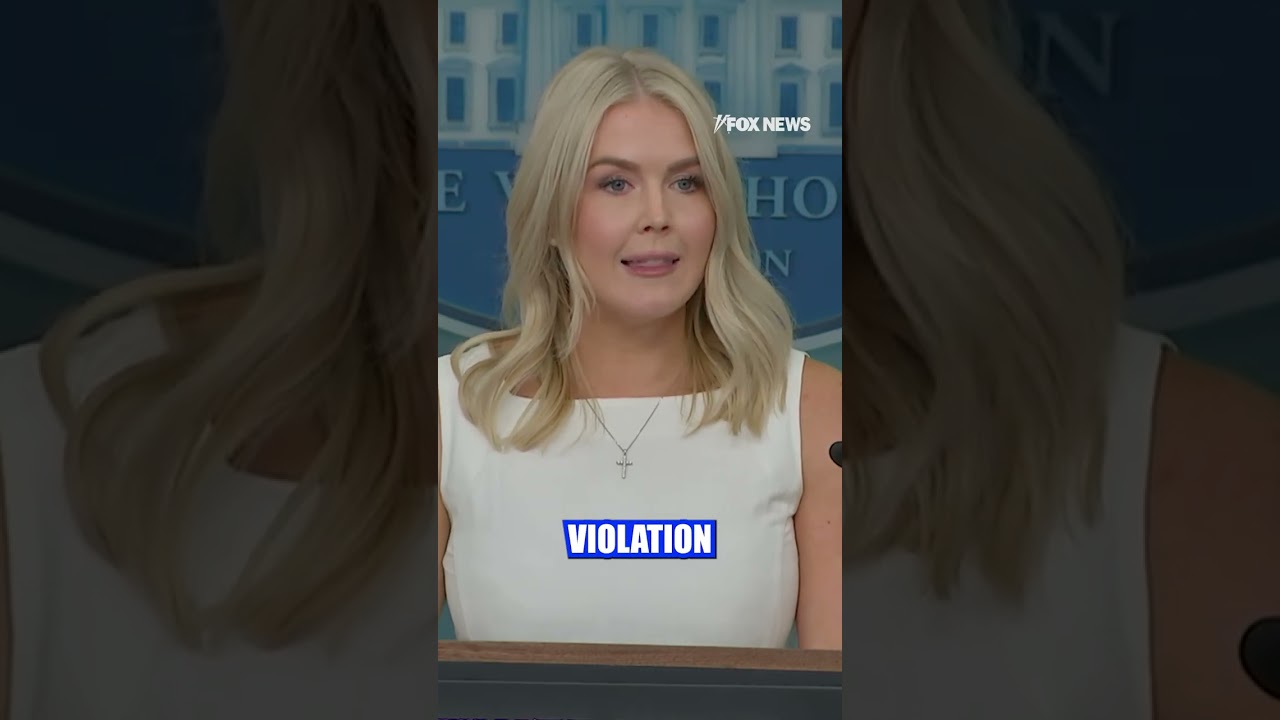 WATCH: Leavitt on how the Trump admin is tackling violent crime in DC #shorts #usa #us #trump #news