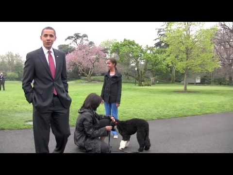 President Obama's new dog - Bo Obama arrives at White House