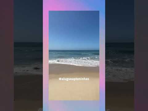 Video realizado por la propiedad