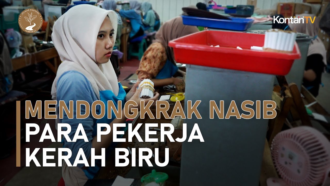 Mendongkrak Nasib Para Pekerja Kerah Biru | Jelajah Ekonomi Tembakau