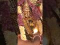 కార్తిక శనివారం నాడు భక్తుల కష్టాలను తీర్చడానికి విచ్చేసిన కొల్హాపూర్ శ్రీ మహాలక్ష్మీ #bhakthitv