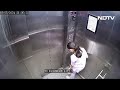 Dog Attack Noida | Girl Bitten By Dog In Lift At Noida Apartment  - 01:05 min - News - Video