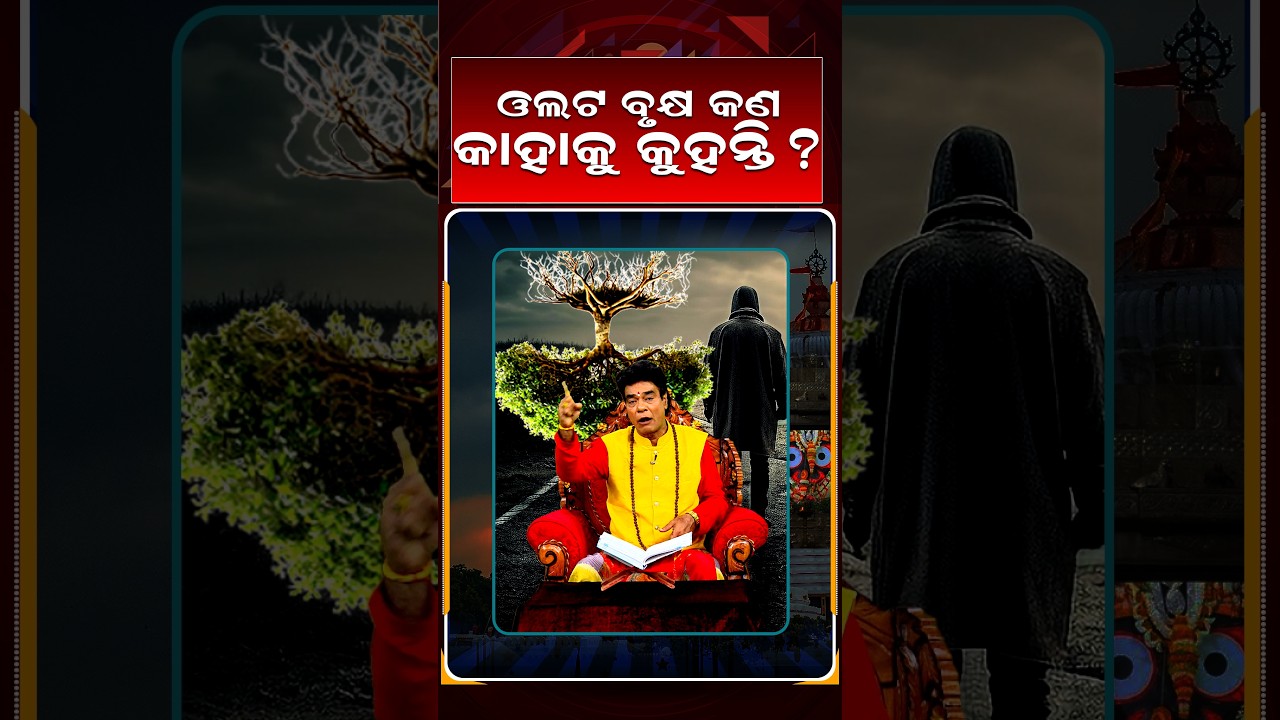 ଓଲଟ ବୃକ୍ଷ କଣ କାହାକୁ କୁହନ୍ତି ? | Baya Bani | Pandit Jitu Das | Argus News