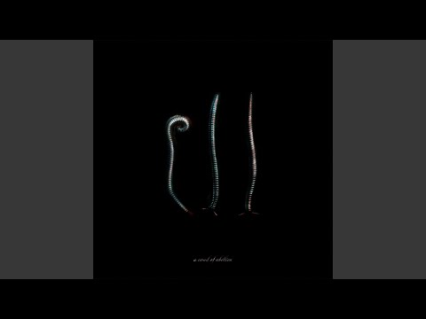 THE TESTAMENT