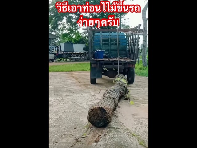 เอาท่อนไม้ขึ้นหลังรถแบบง่ายๆ