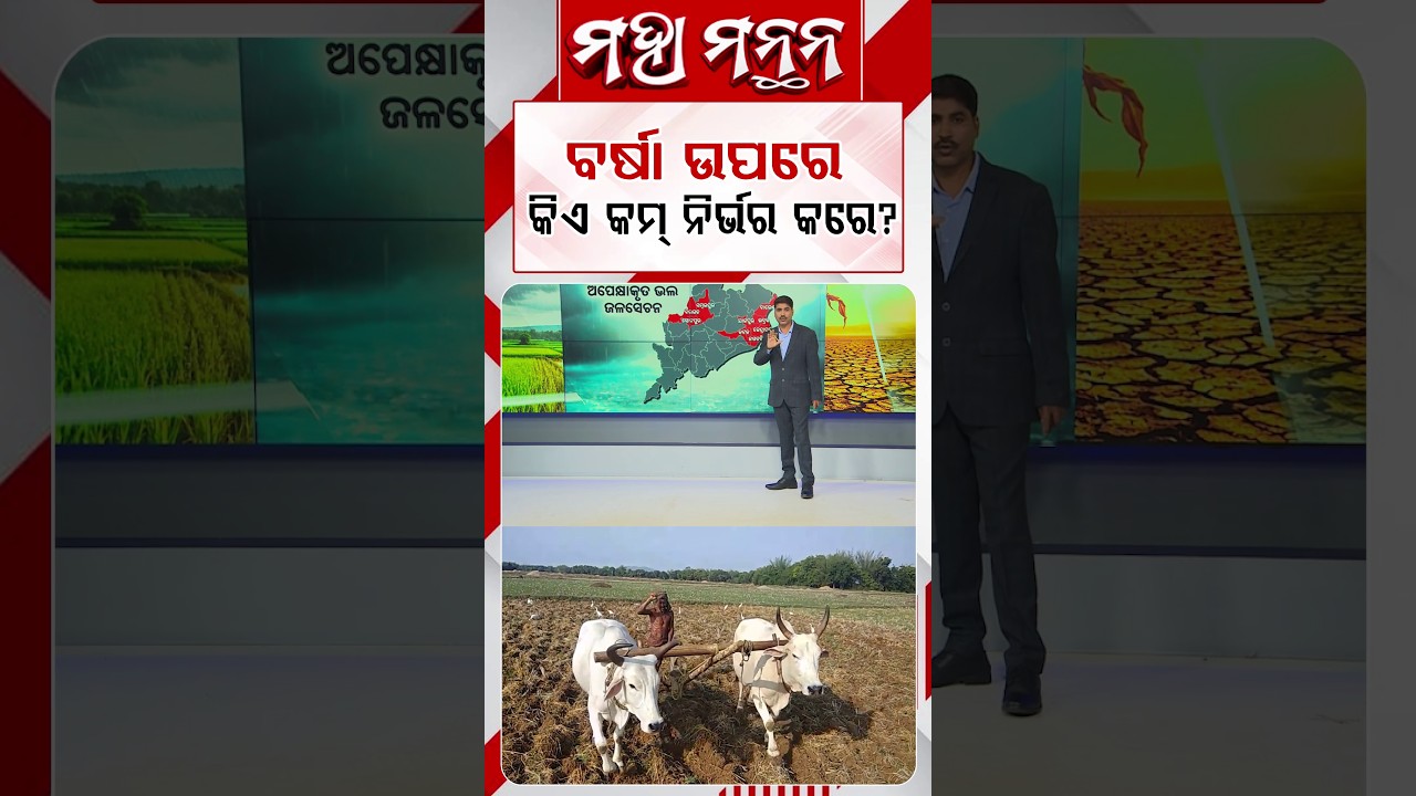ବର୍ଷା ଉପରେ କିଏ କମ୍ ନିର୍ଭର କରେ? | Maha Manthan | Argus News