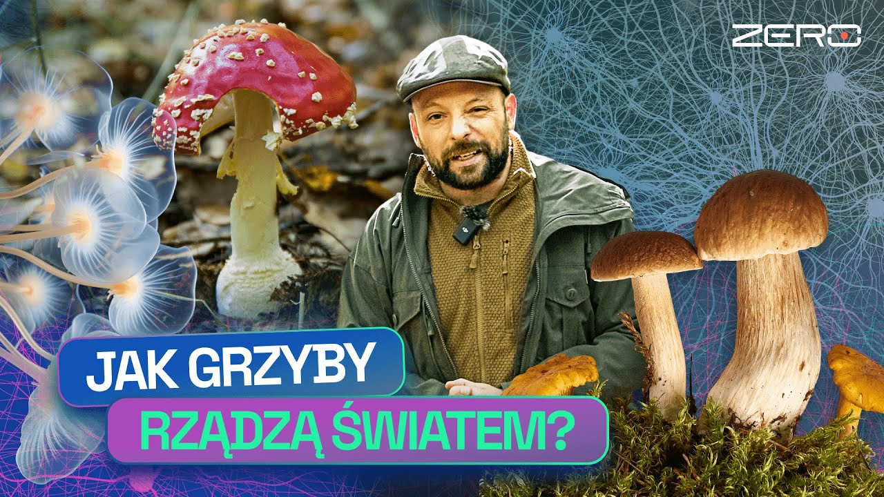 GRZYBY MAJĄ ŚWIADOMOŚĆ I PAMIĘĆ - JAK TO DZIAŁA? | GATUNEK ZERO