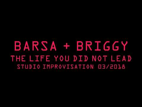 BARSA E BRIGGY - The Life You Did Not Lead