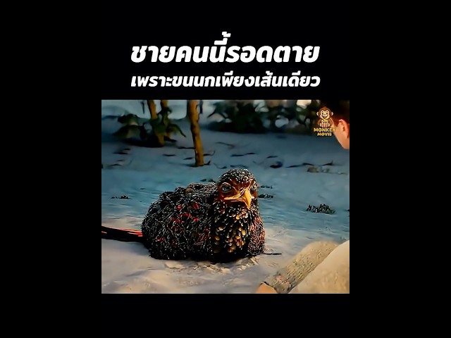 ชายคนนี้รอดตายเพราะขนนกเพียงเส้นเดียว