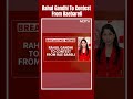 Raebareli News | Rahul Gandhi To Contest Lok Sabha Polls From Raebareli, Announces Congress  - 00:55 min - News - Video