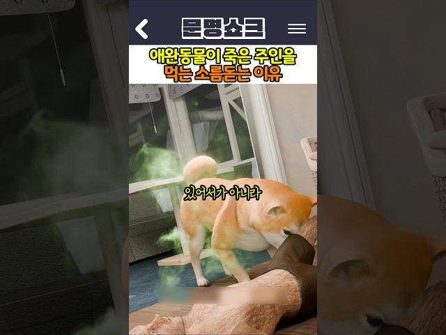 애완동물이 죽은 주인을 먹는 소름돋는 이유