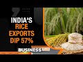 India’s Non-Basmati Rice Exports Slump 57% In September ‘23| Govt To continue Ban On Rice Exports