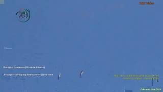 Battles for Syria | February 2nd and 7th 2016 .حرب سوريا ... Battles for Syria | February 2nd and 7th 2016 .حرب سوريا ...