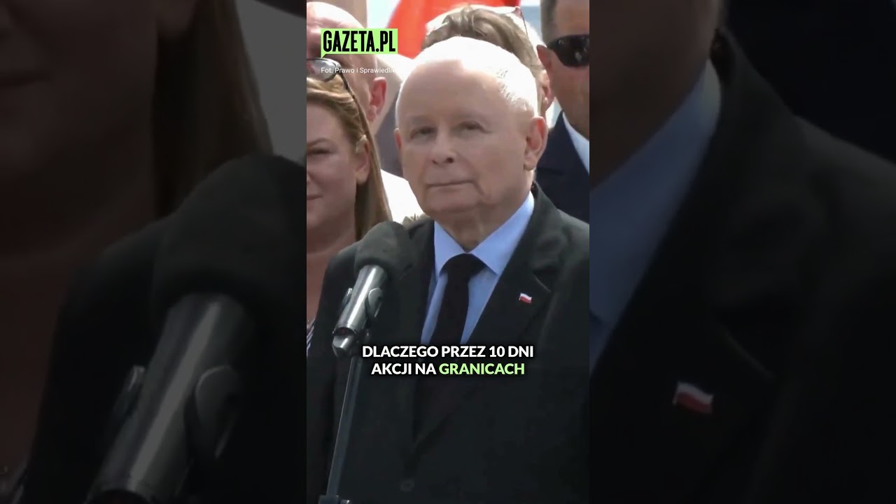 Качиньский бьет журналиста. «Мне тебя жаль»